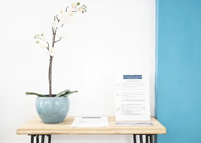 公寓 Luxury- Sshousing 圣塞瓦斯蒂安