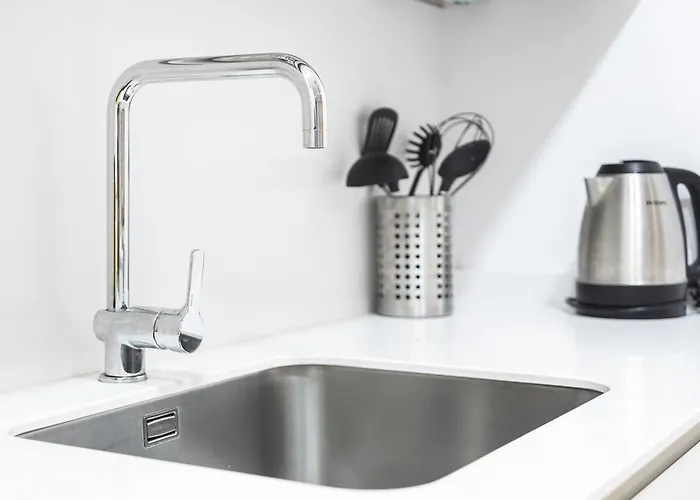 Luxury- Sshousing 公寓 圣塞瓦斯蒂安