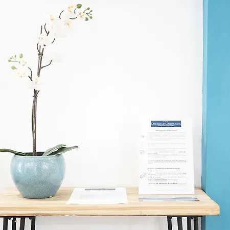 Appartement Luxury- Sshousing San Sebastian